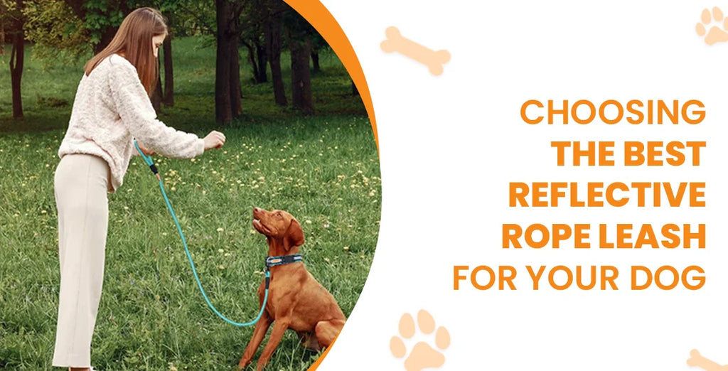 How to Choose the Best Reflective Rope Leash