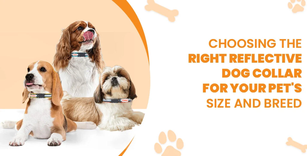 Choosing the Right Reflective Dog Collar for Your Pet’s Size and Breed