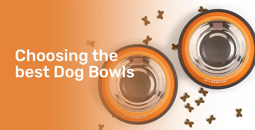 Tips for Choosing The Best Dog Bowls