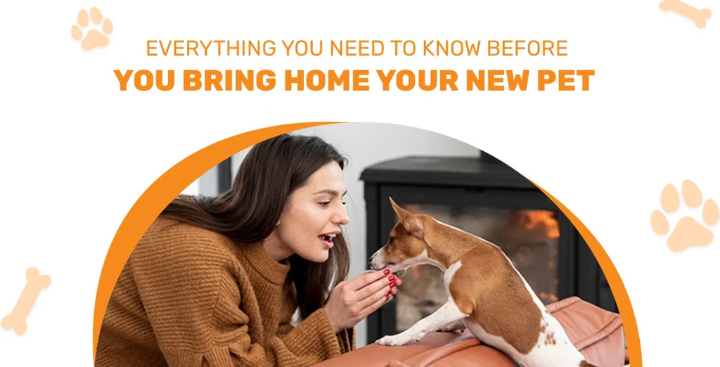 Everything You Need To Know Before You Bring Home Your New Pet