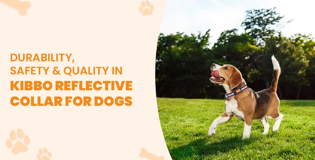 DURABILITY, SAFETY & QUALITY IN KIBBO REFLECTIVE COLLAR FOR DOGS 