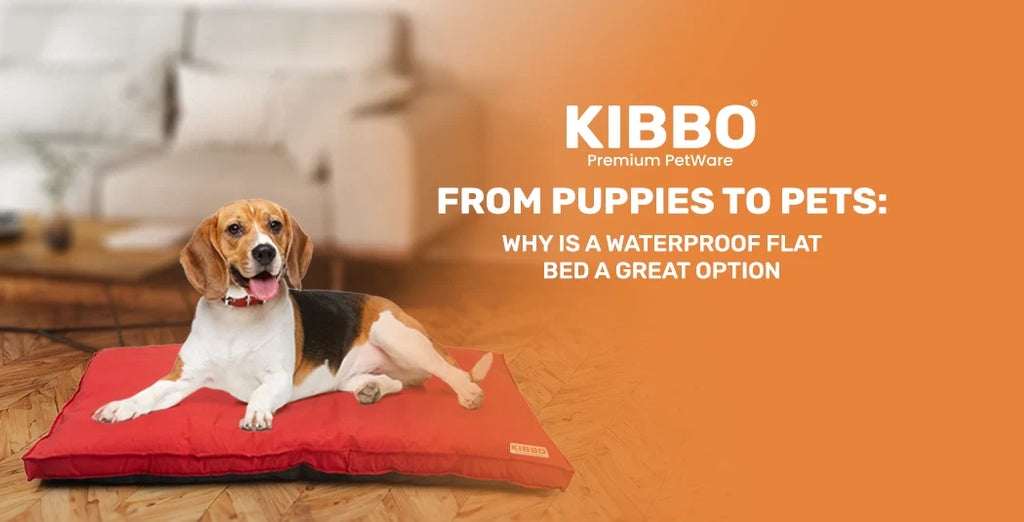 From Puppies to Pets: Why is a Waterproof Flat Bed a Great Option