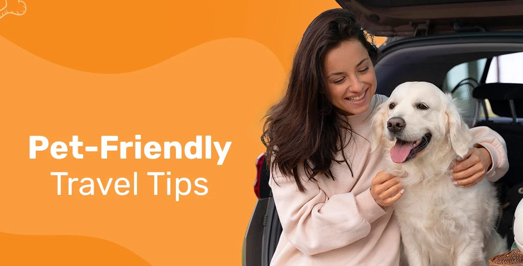 Pet-Friendly Travel Tips for Pets