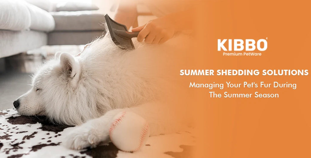 Summer Shedding Solutions: Managing Your Pet’s Fur in the Heat