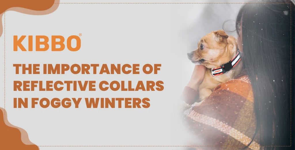 Pet Safety First : The Importance of Reflective Collars in Foggy Winters