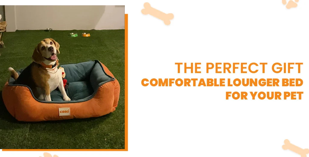 The Perfect Gift – Comfortable Lounger Bed for Your Pet