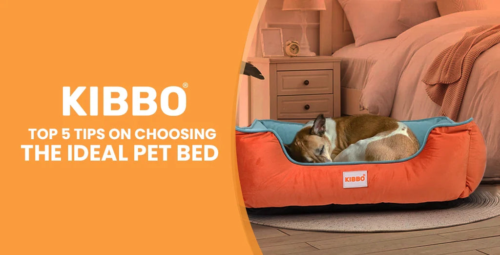Top 5 Tips on Choosing the Ideal Pet Bed