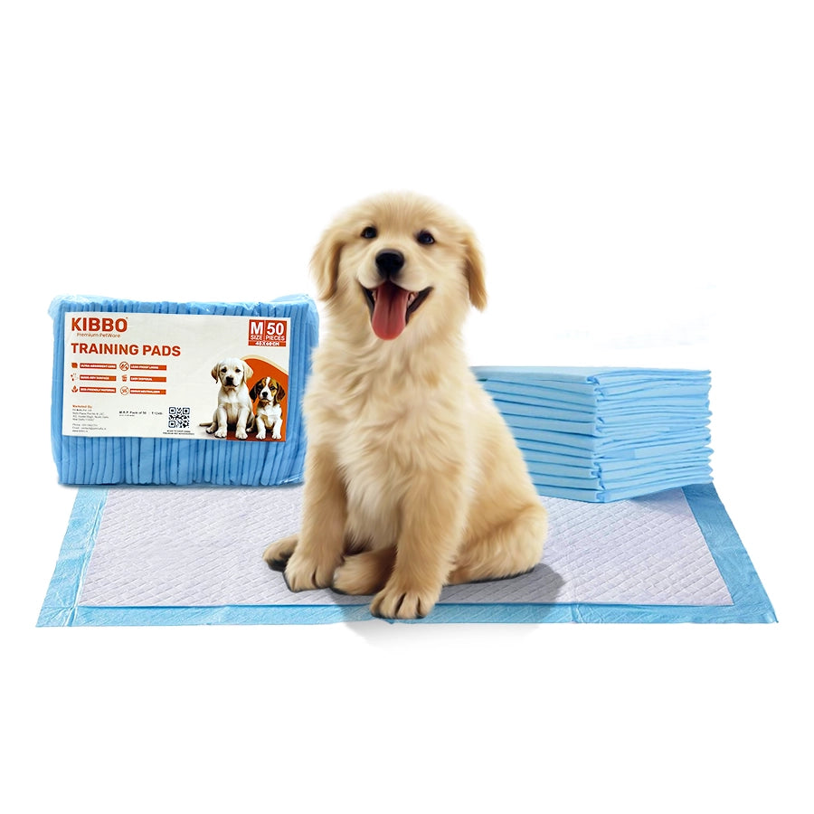 training pad for dogs