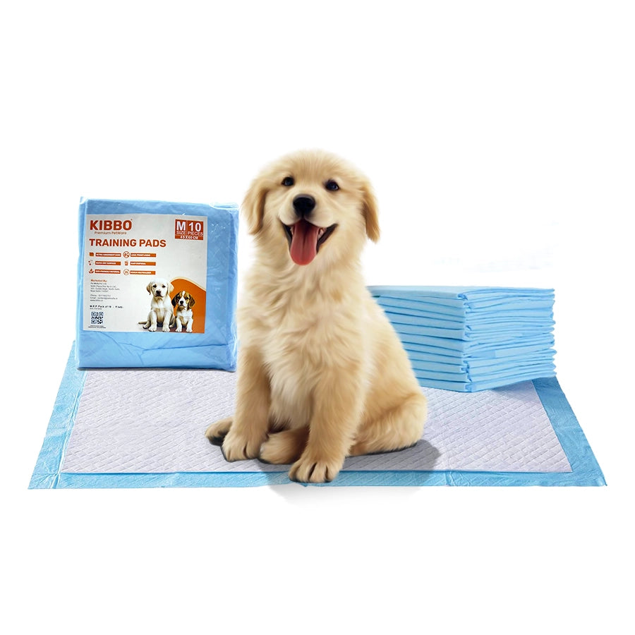 Training Pads for Dogs & Cats, Pack of 10 (45x60 CM)