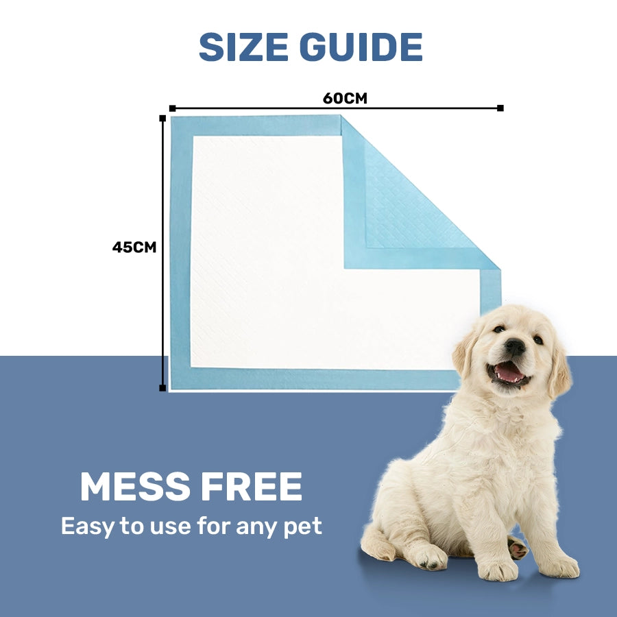 Training Pads for Dogs & Cats, Pack of 10 (45x60 CM)
