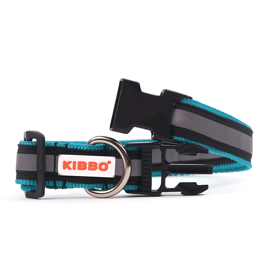 dog collar sea green