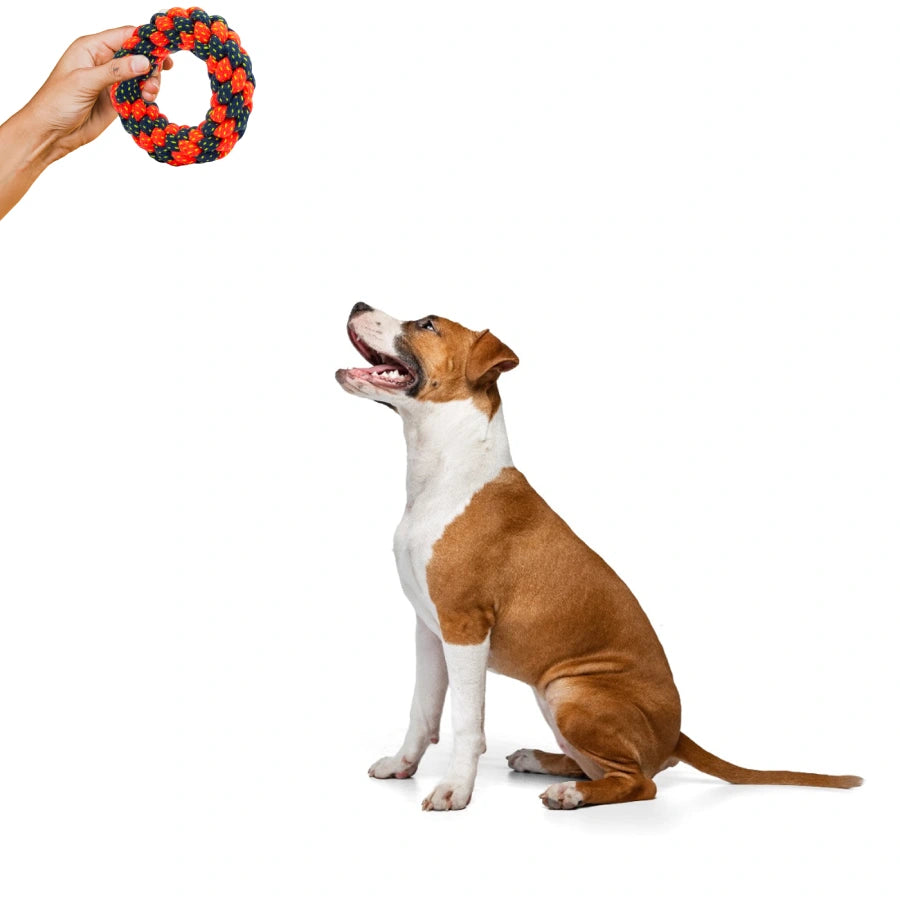 Rope Toy, Ring Pack1