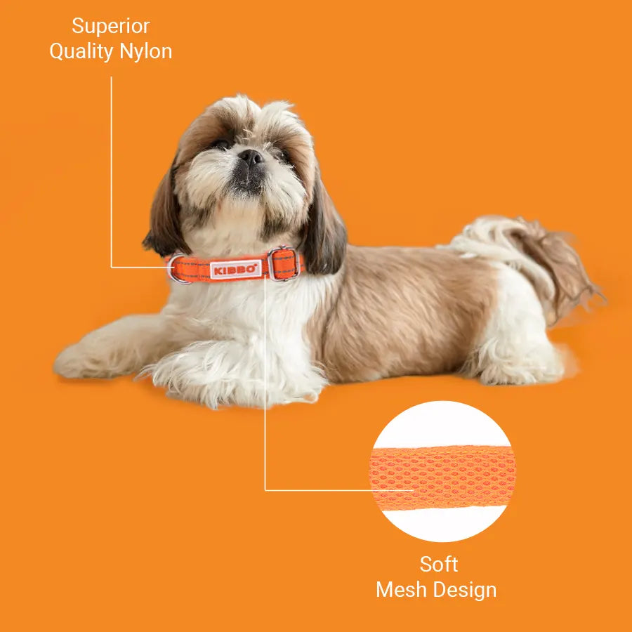 Reflective Padded Collar, Orange