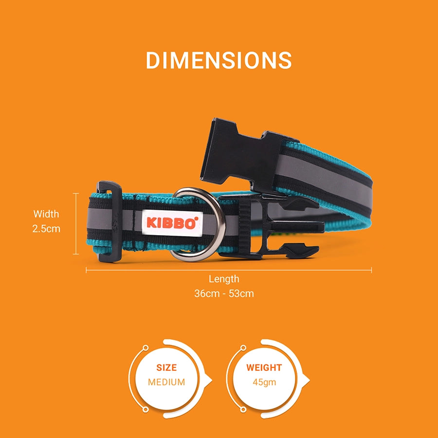 Reflective Collar, Sea Green, Pack of 1