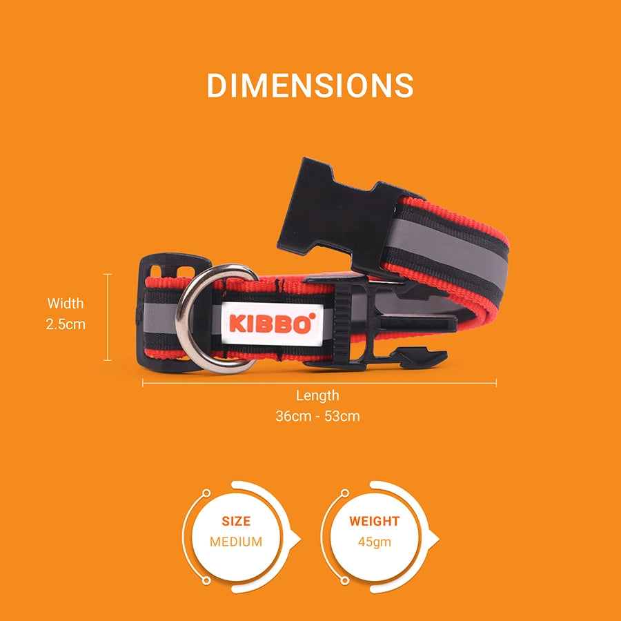 Reflective Collar, Red, Pack of 1