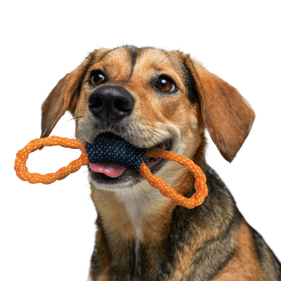 Rope Toy, Double Loop Tug