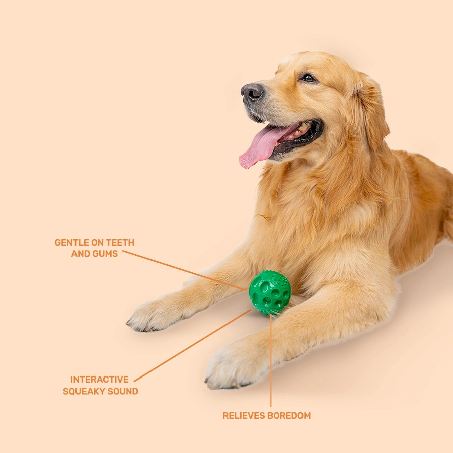 Rubber Toy, Squeaky Ball, Green