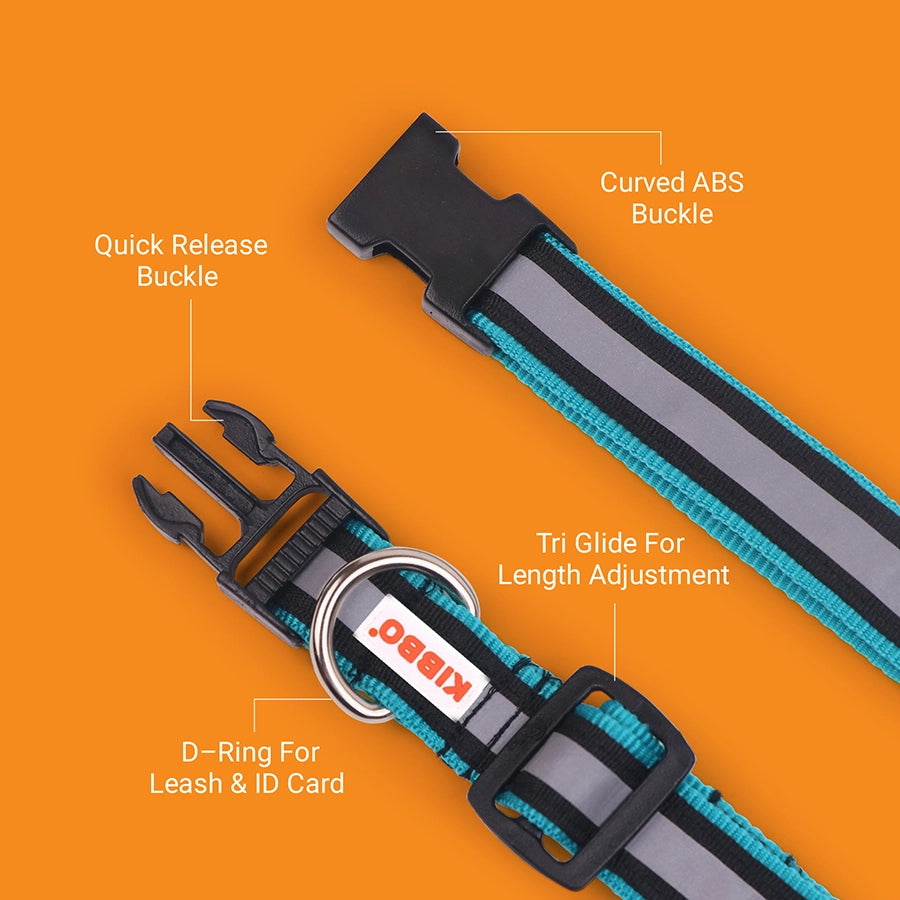 Reflective Collar, Sea Green, Pack of 1