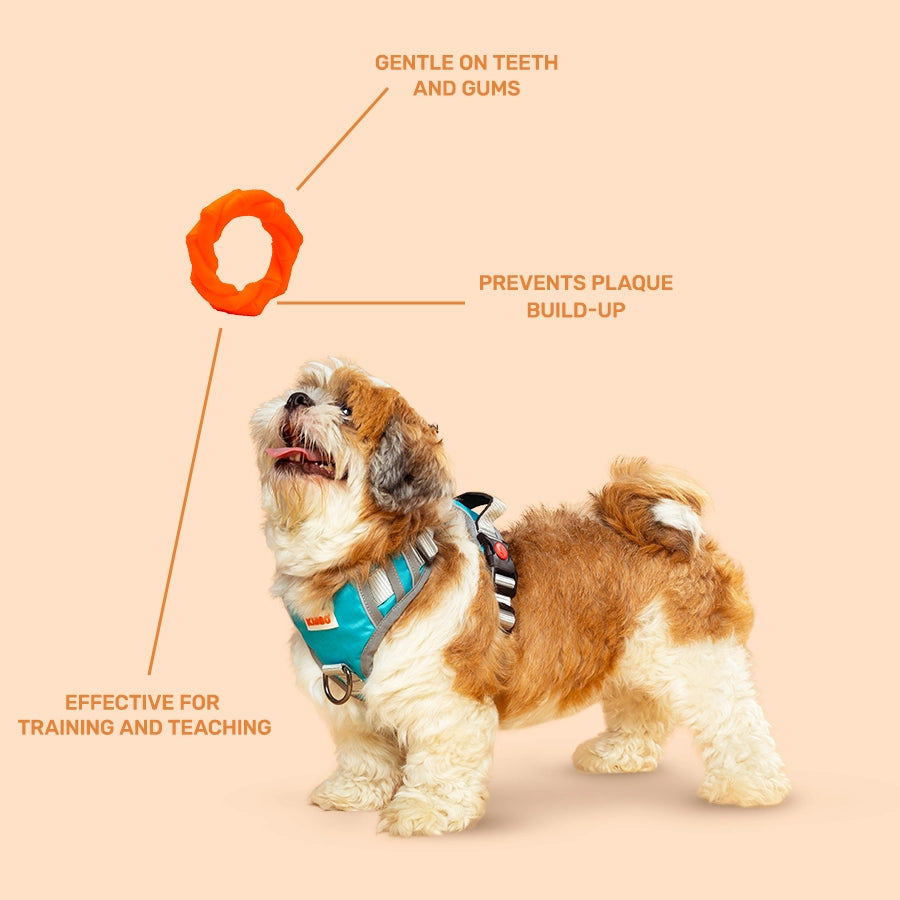 Rubber Toy, Knotted Ring, Orange