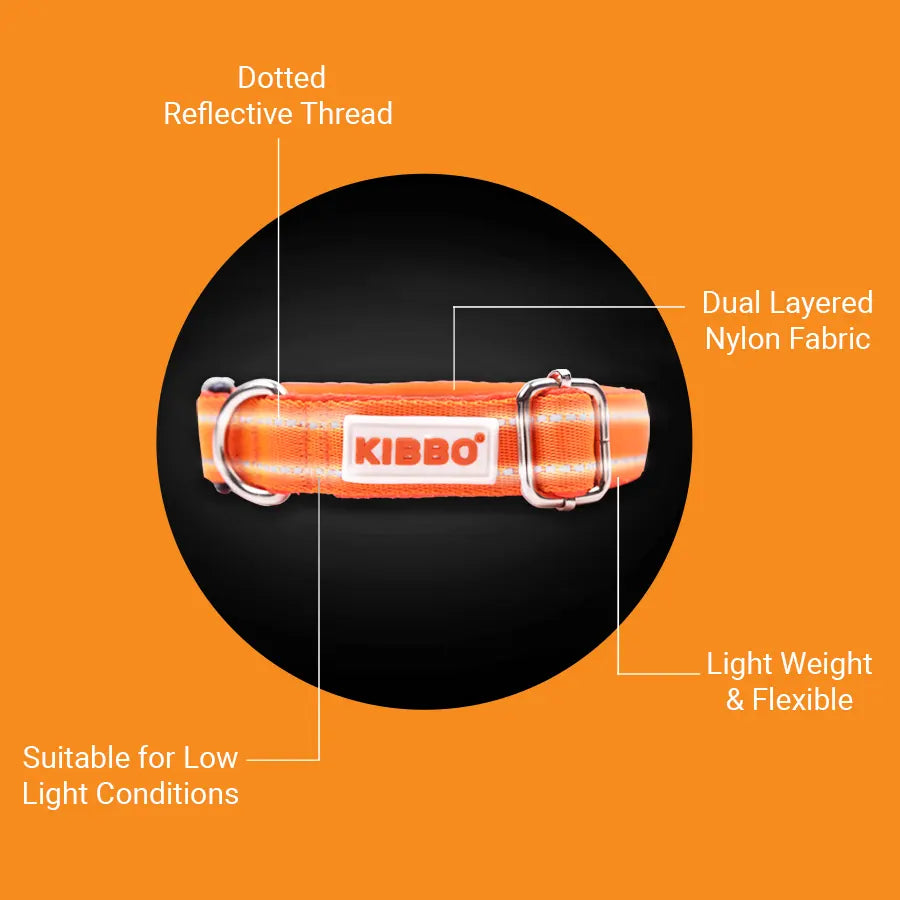 Reflective Padded Collar, Orange