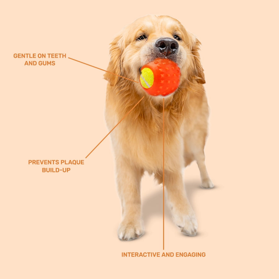 Rubber Toy, Tennis Ball, Orange