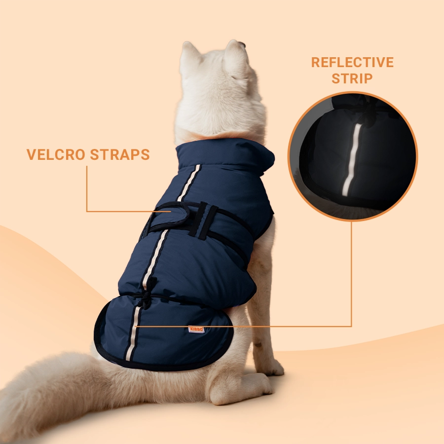 Waterproof Reflective Jacket, Blue, Pack1