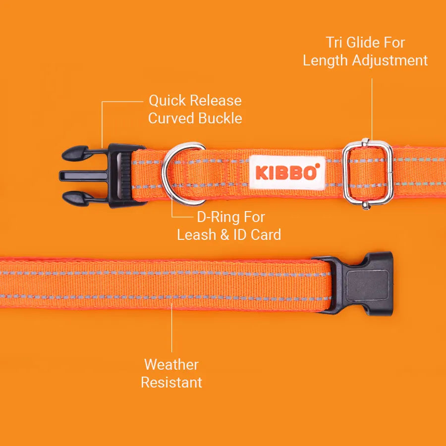 Reflective Padded Collar, Orange