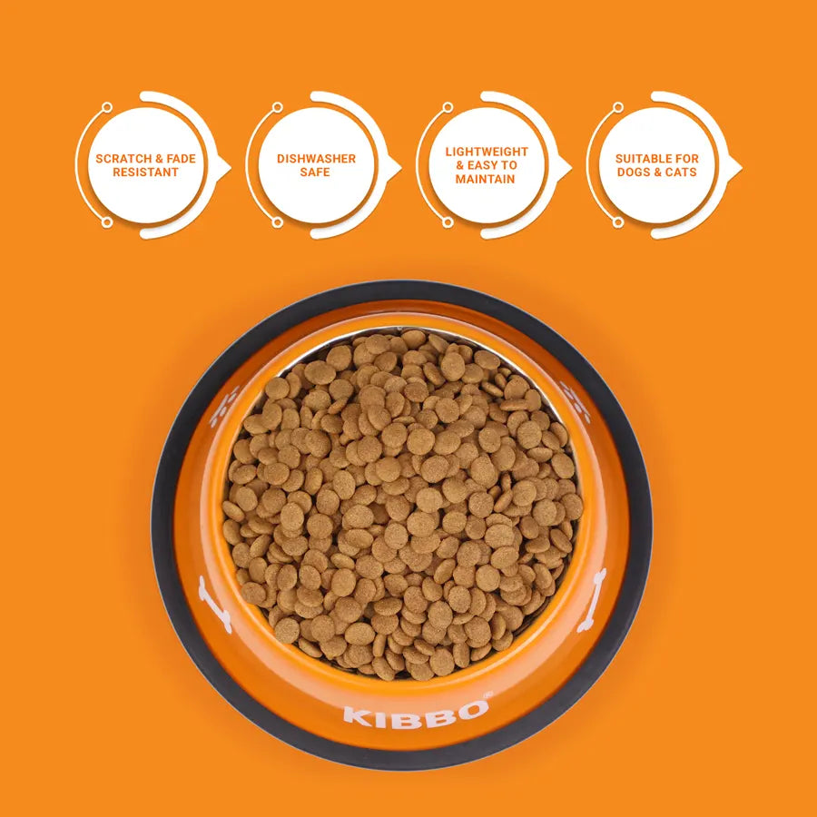 Anti Skid Bowl, Green, Blue & Orange, Printed, Pack of 3