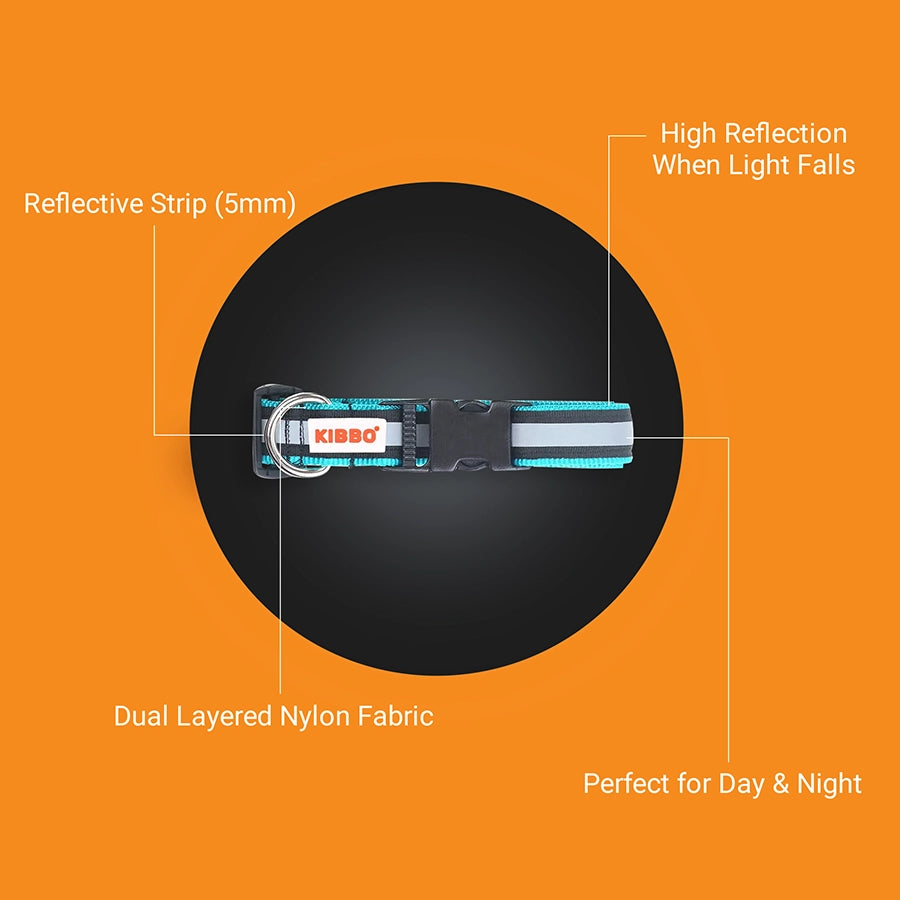 Reflective Collar, Sea Green, Pack of 1