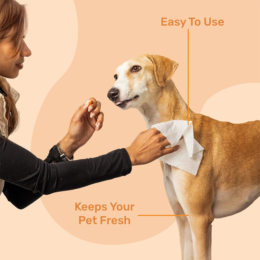 Kibbo Non-Alcoholic Pet Wipes | Paraben Free and Non Toxic | 100 Count (Pack of 2)