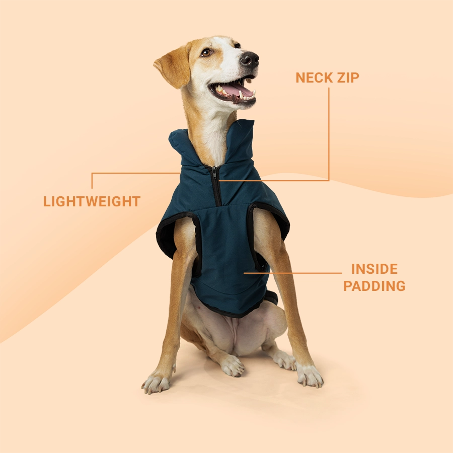 Waterproof Reflective Jacket, Blue, Pack1