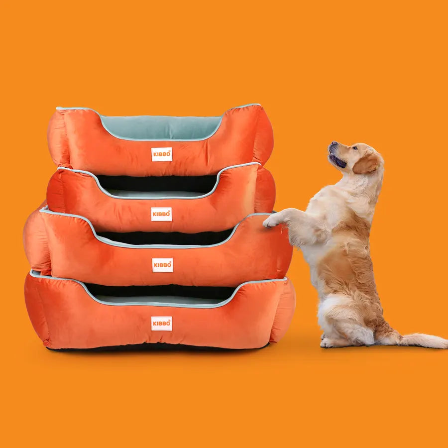 Lounger Bed, Orange & Aqua