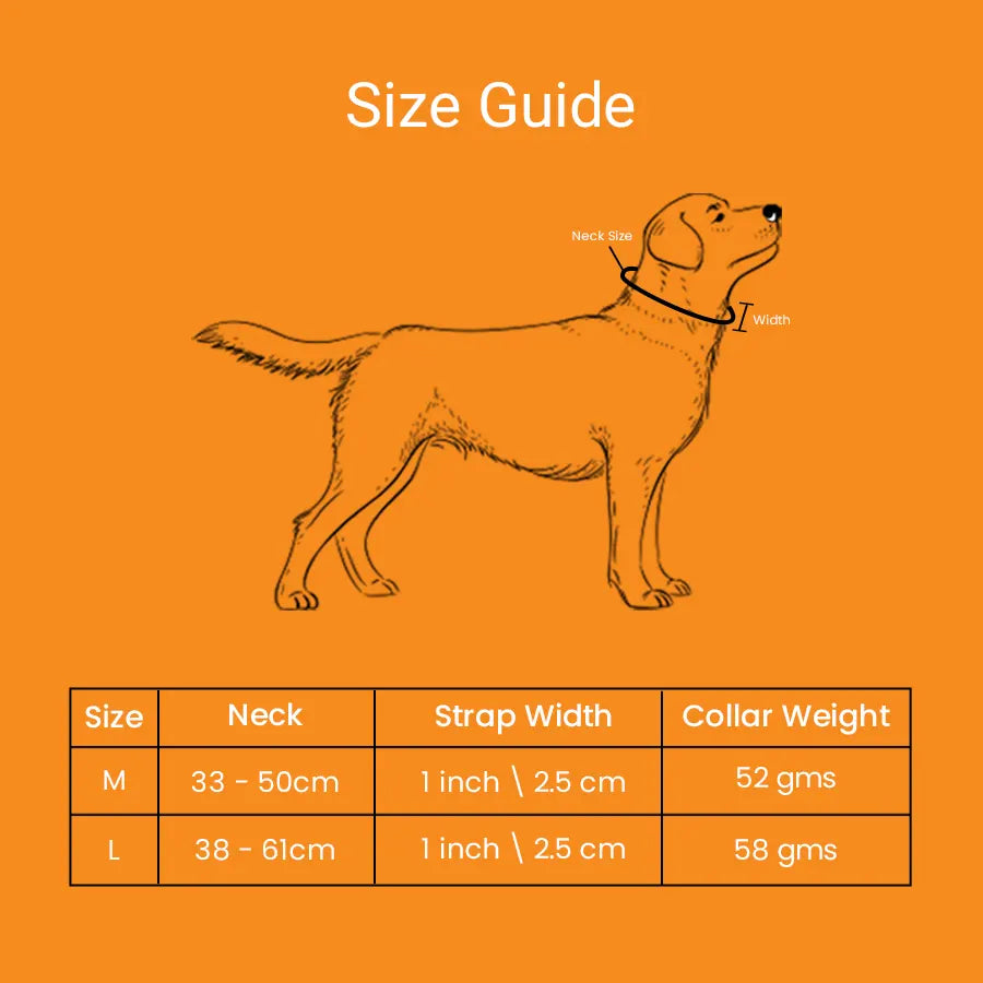 Kibbo Padded Collar for Pet