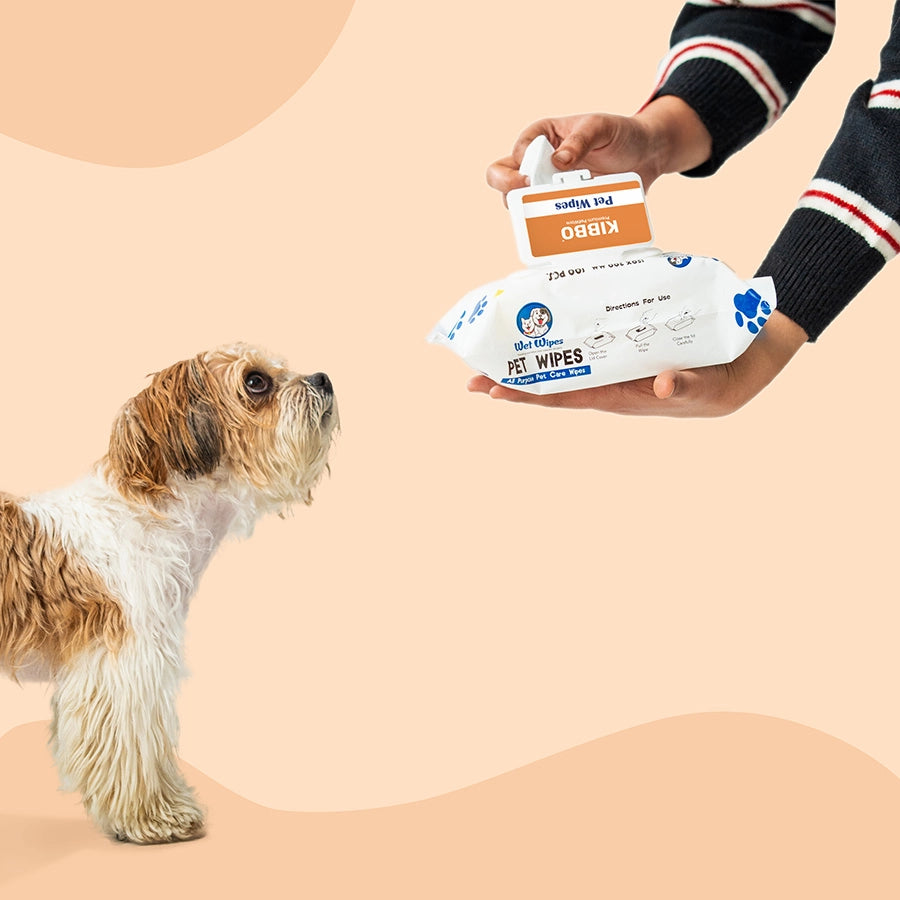 Kibbo Wet Wipes buy online