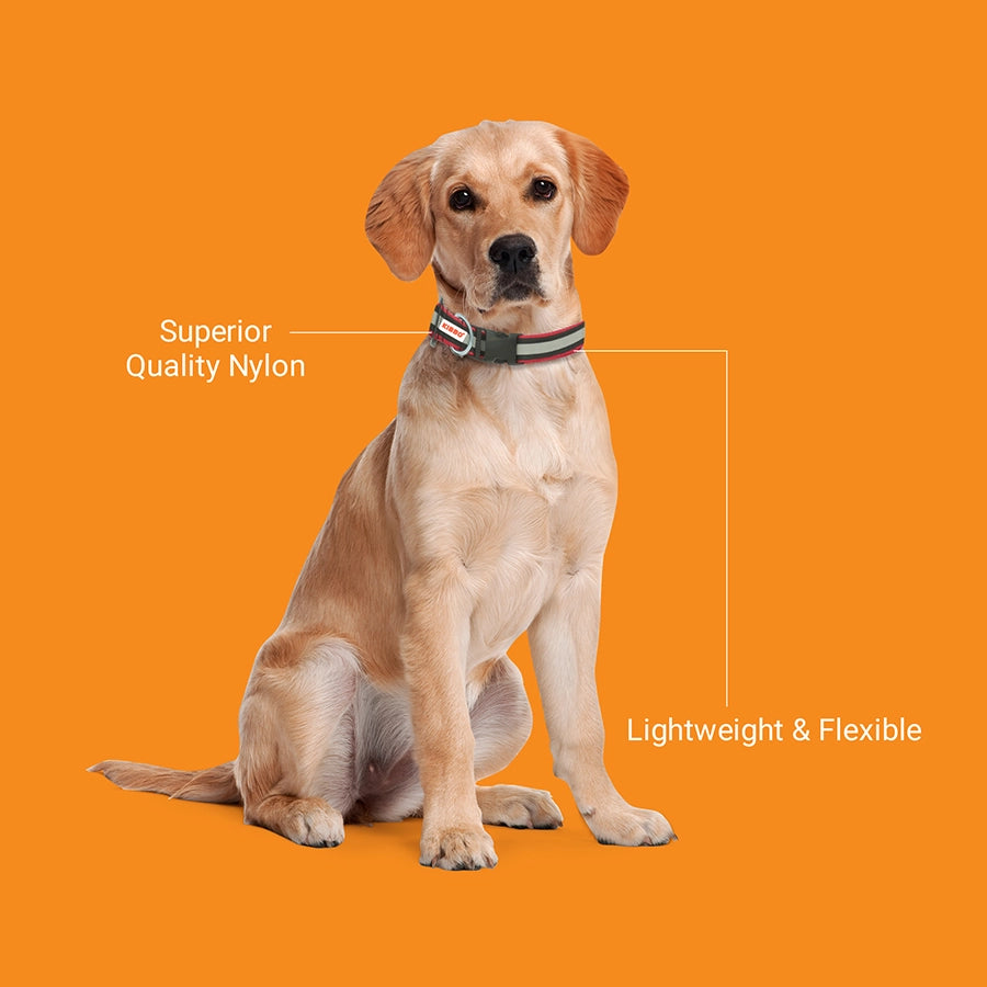 Reflective Collar, Red, Pack of 1