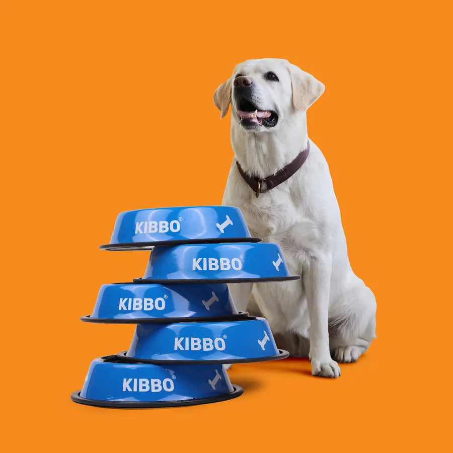 Anti Skid Bowl, Blue, Printed