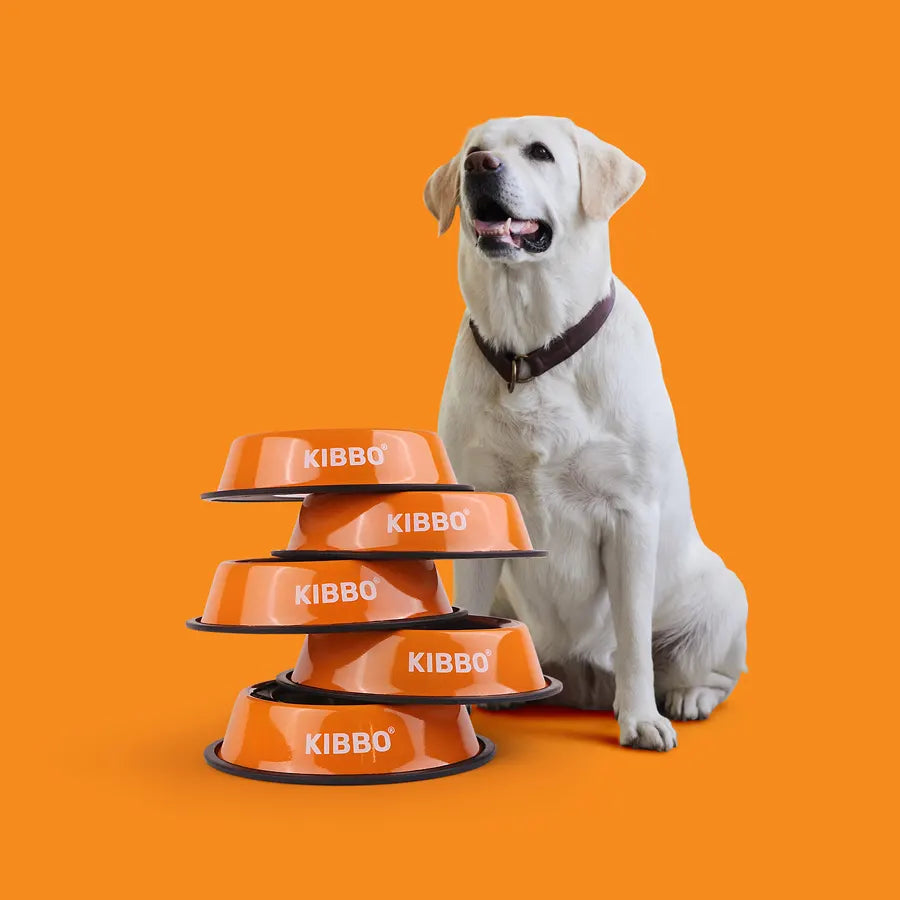 Anti Skid Bowl, Orange, Plain