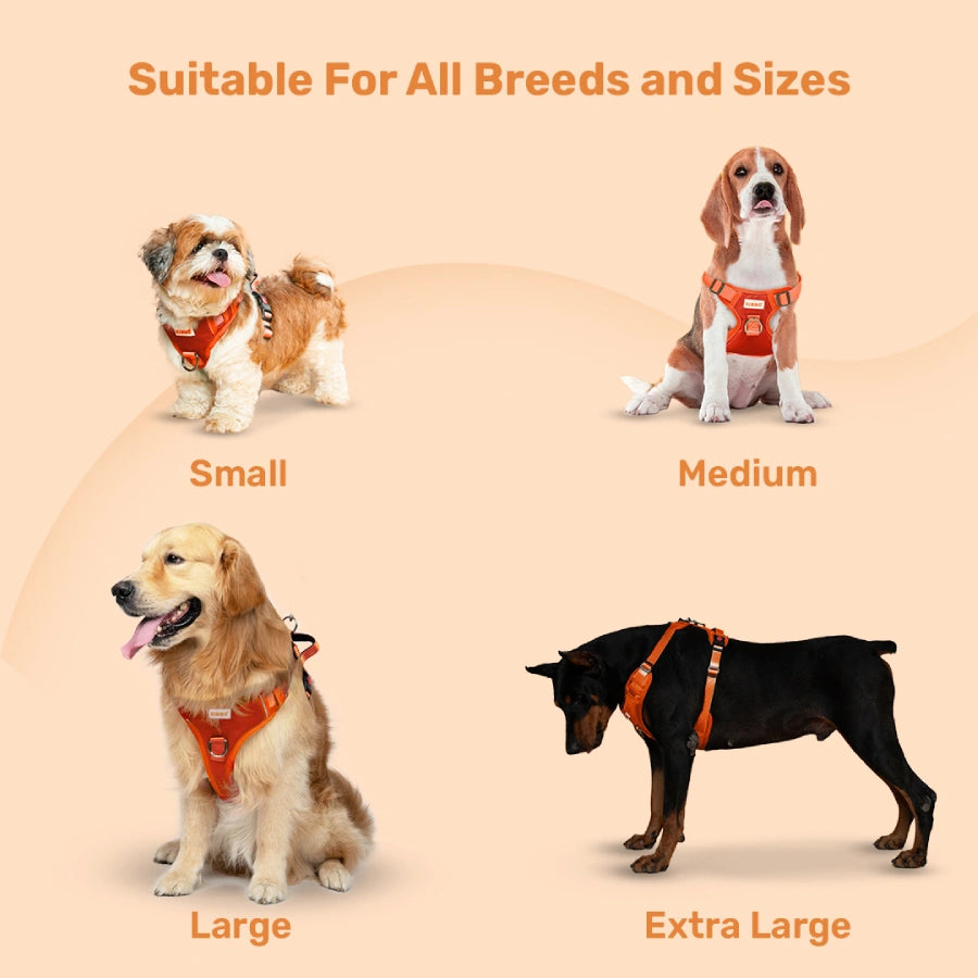 vest harness for dog