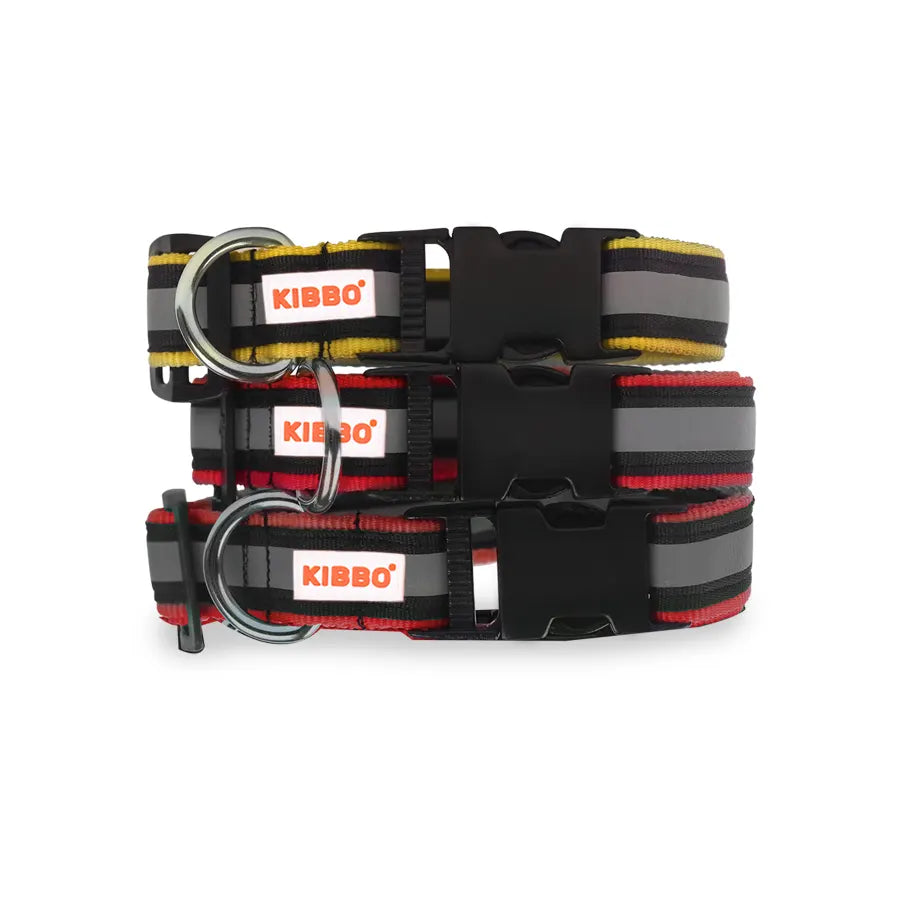 Reflective Nylon Pet Collar with D-Ring multi color