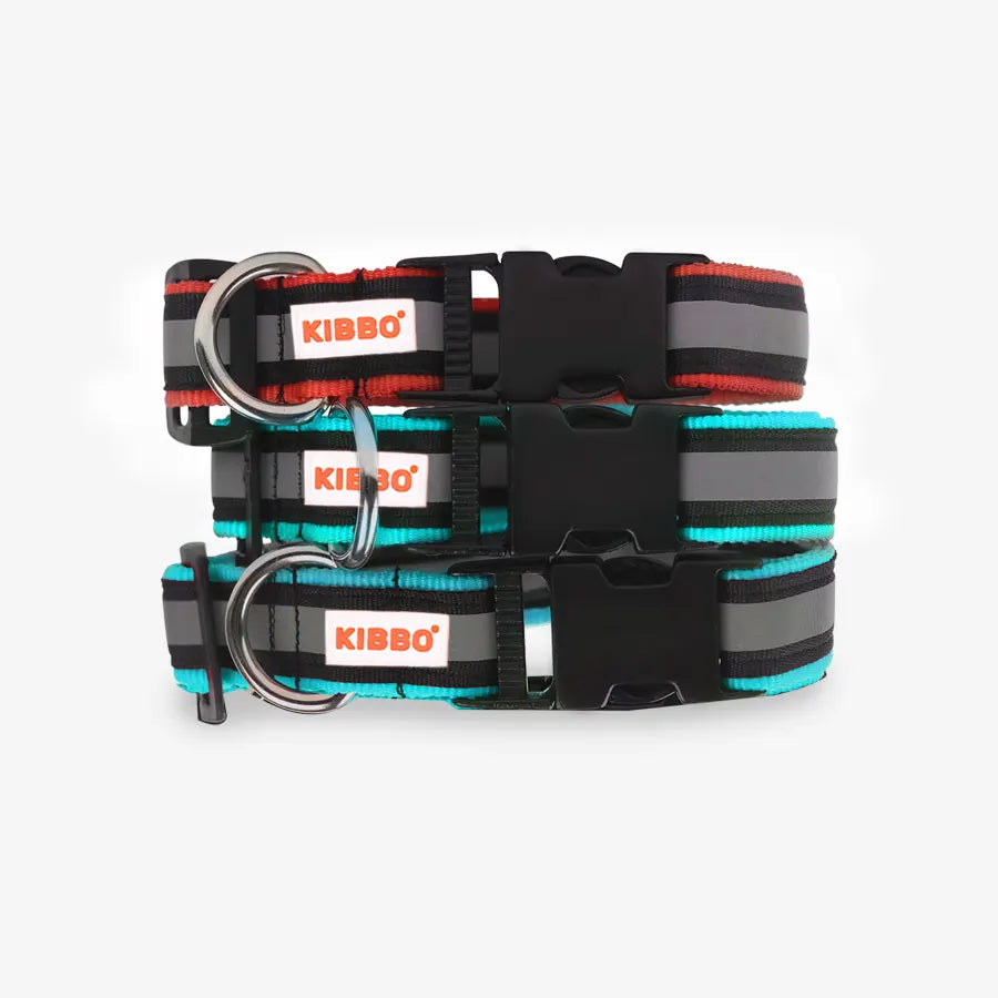 Reflective Nylon Pet Collar with D-Ring multi colour