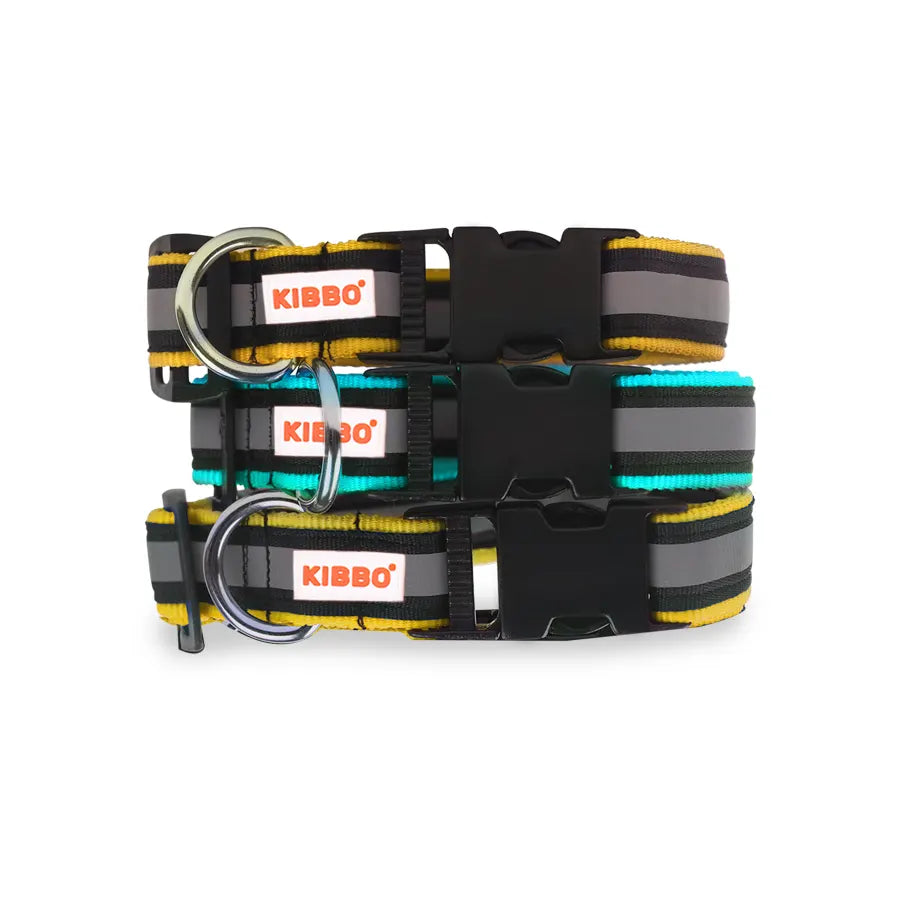 Reflective Nylon Pet Collar with D-Ring yellow & sea green