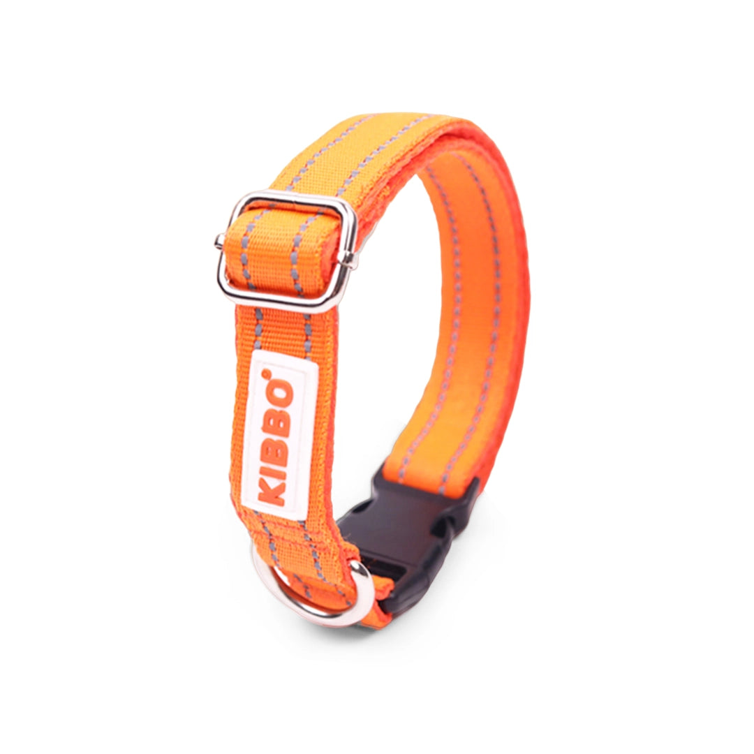 Dog Collar Price in India