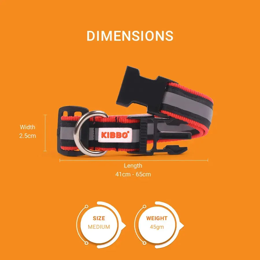 Reflective Collar, Red, Pack of 2