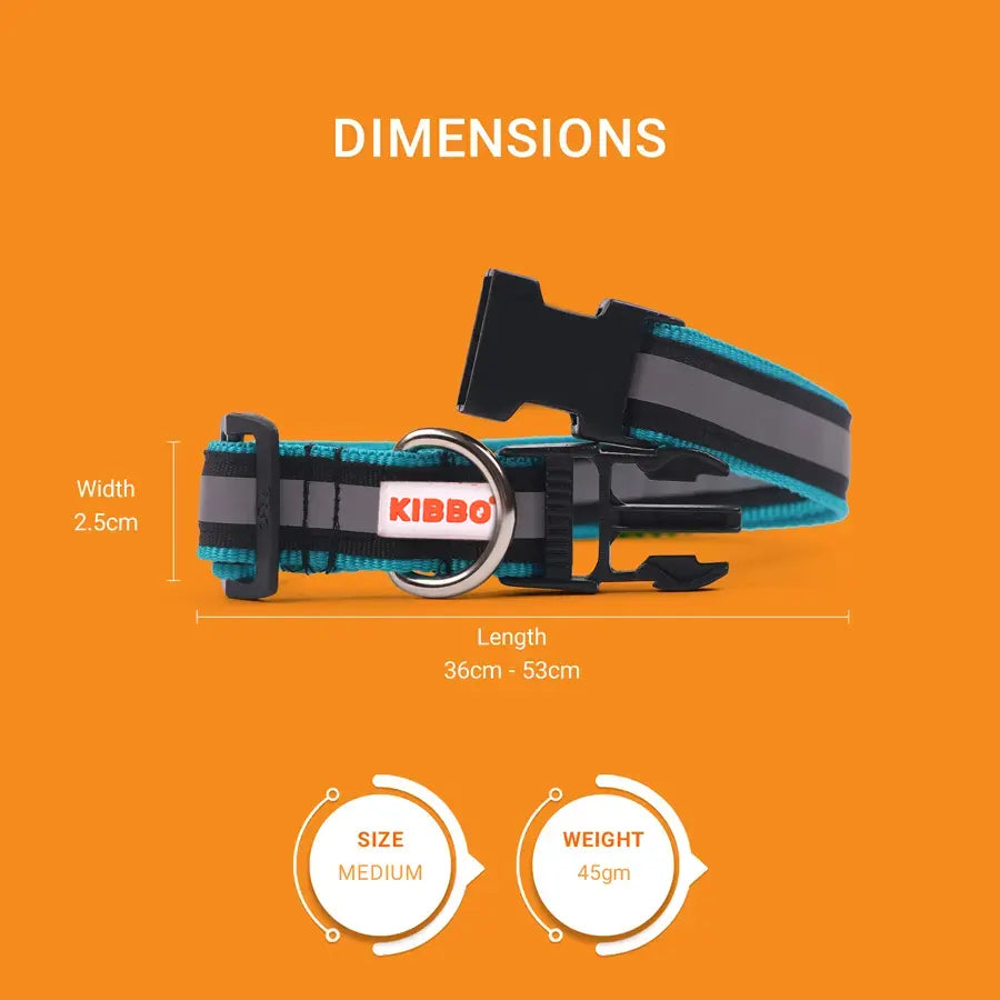 Reflective Collar, Sea Green, Sea Green & Red, Pack of 3