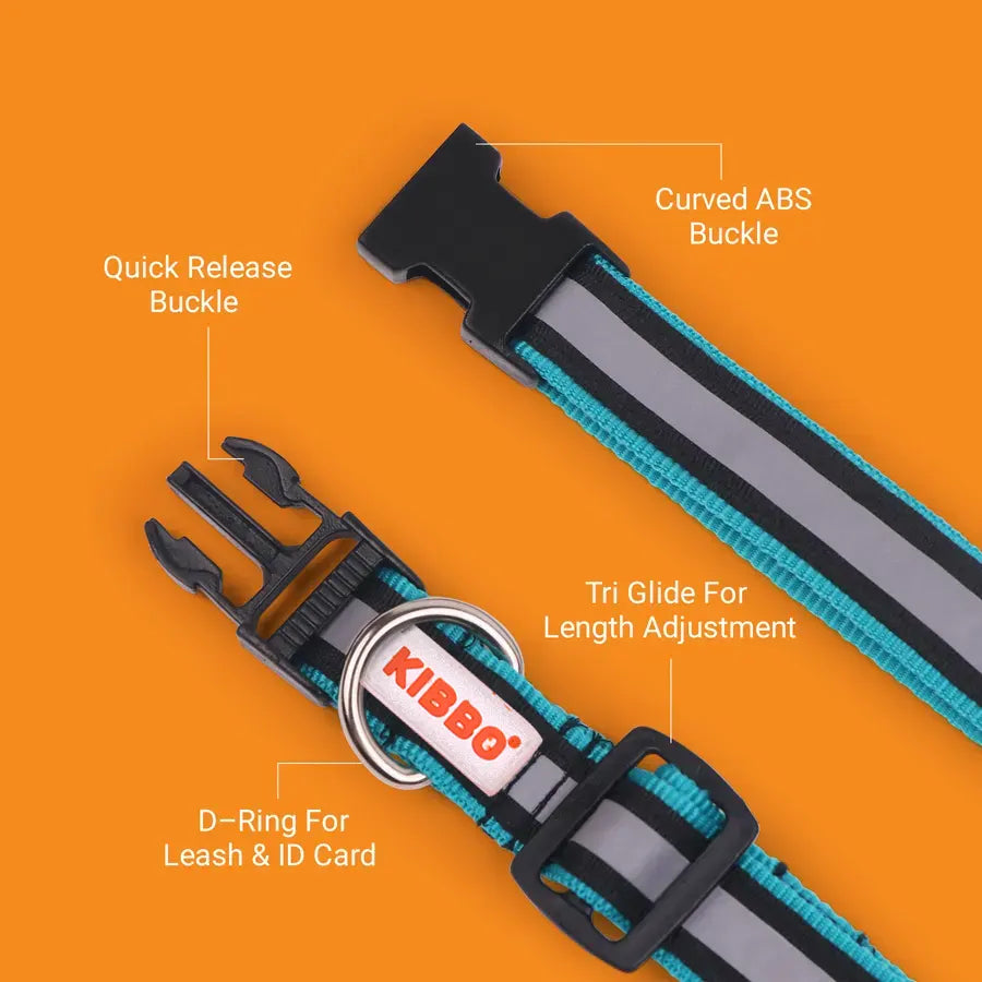 Dual Layered Reflective Nylon Pet Collar with D-Ring, Sea Green - Pack of 5