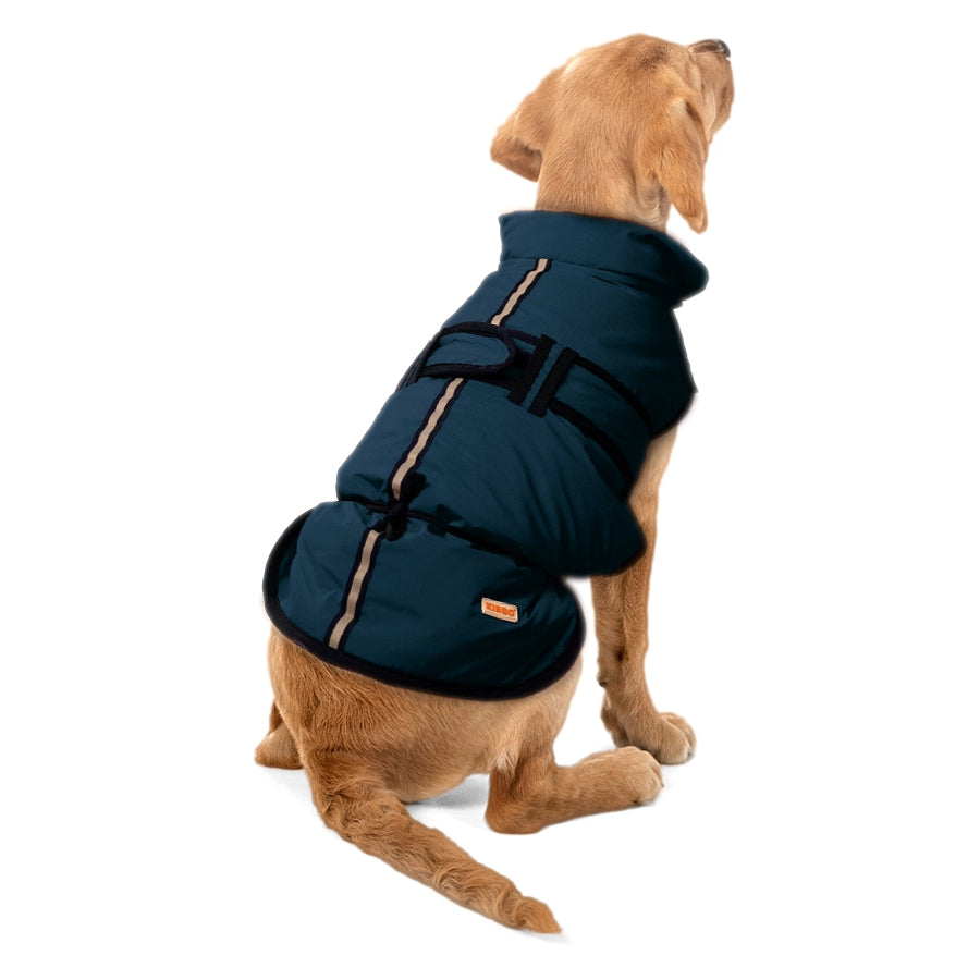 Waterproof Reflective Jacket, Blue, Pack1