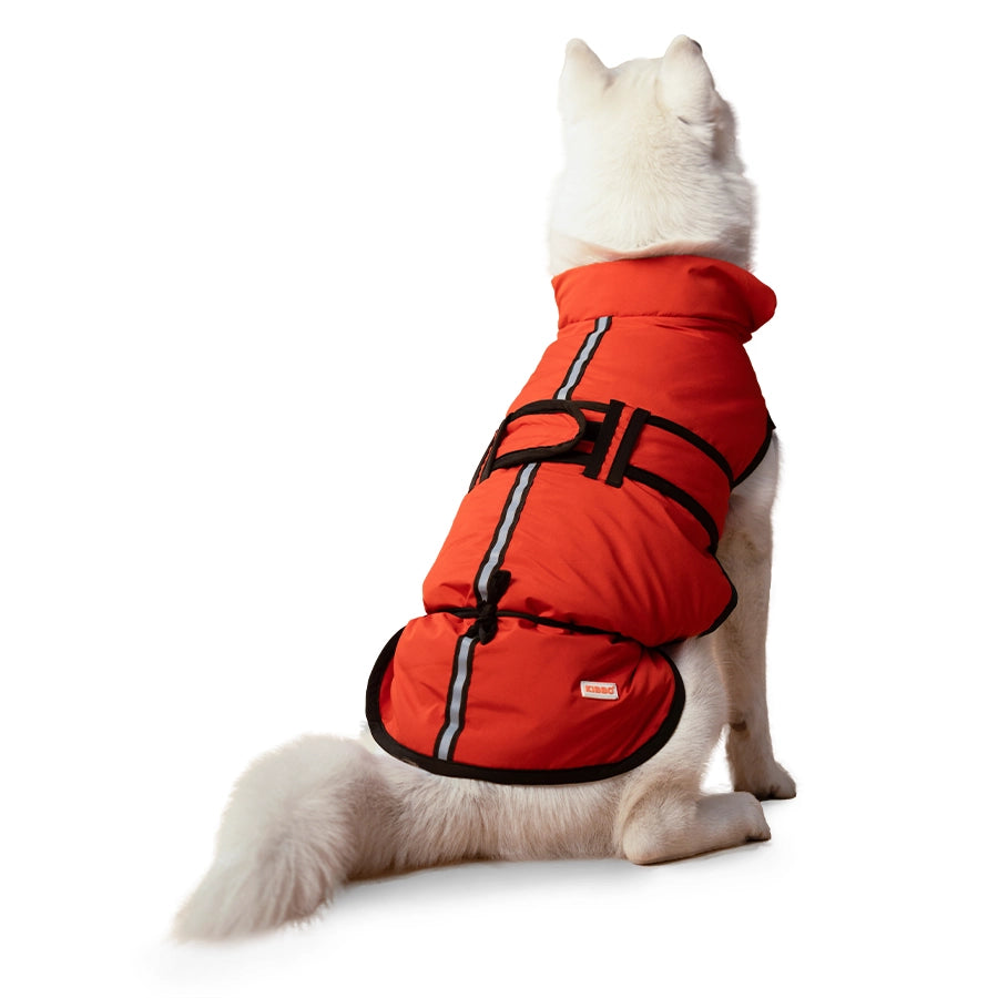 dog jacket