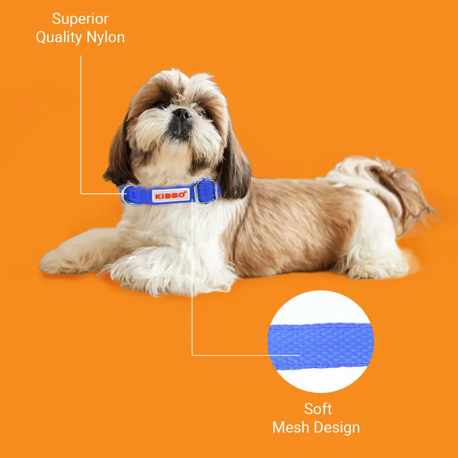 Reflective Padded Collar Pack1