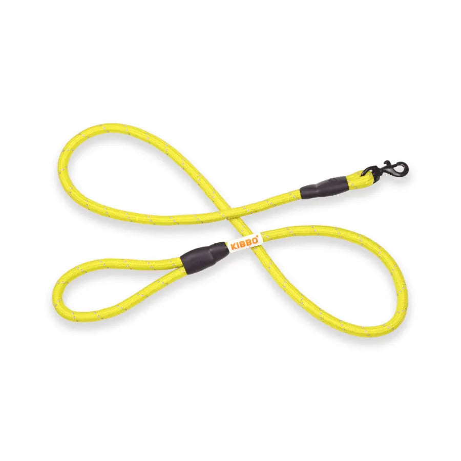 rope leash for dogs