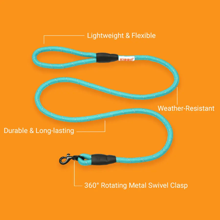 Reflective Rope Leash, Pack1